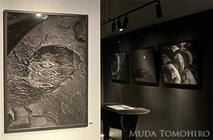 写真展「STONE FOREST」開催中