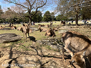 奈良博での写真展・トークショー