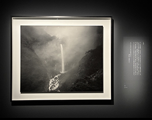 杉本博司「絶滅写真」